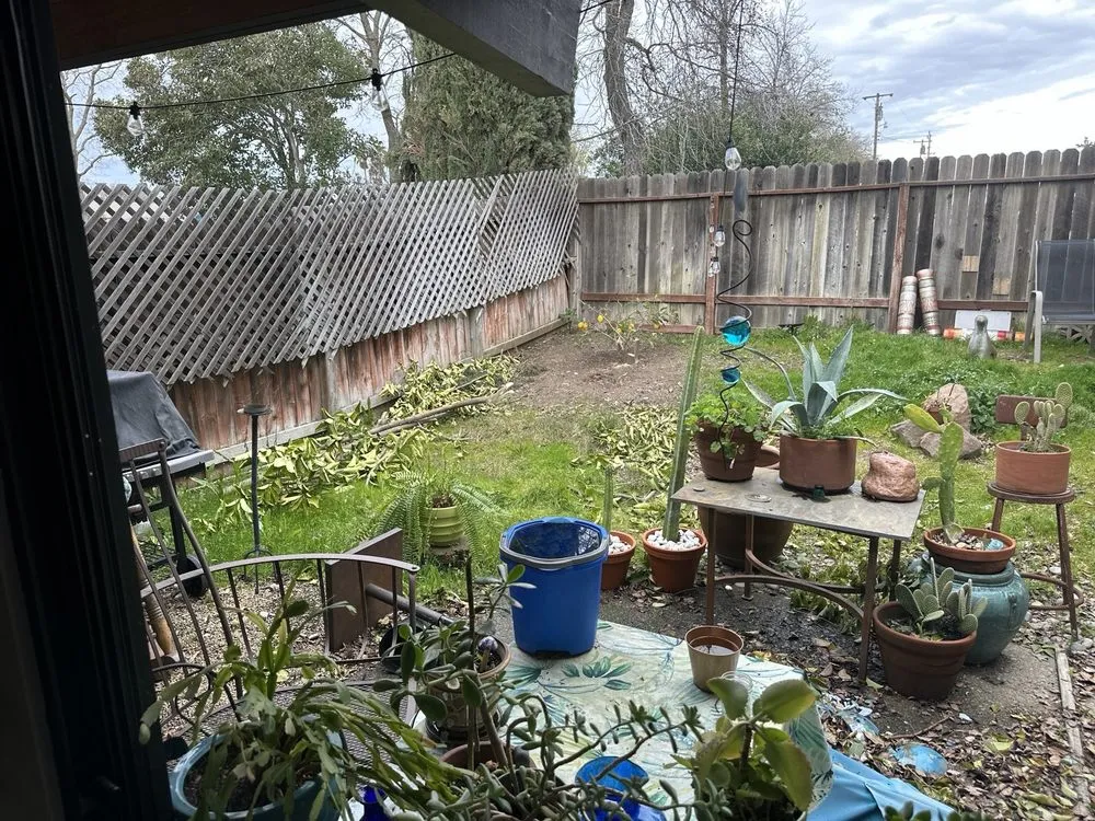 Trusted garden landscaping in Sacramento, CA by Green Landscaping