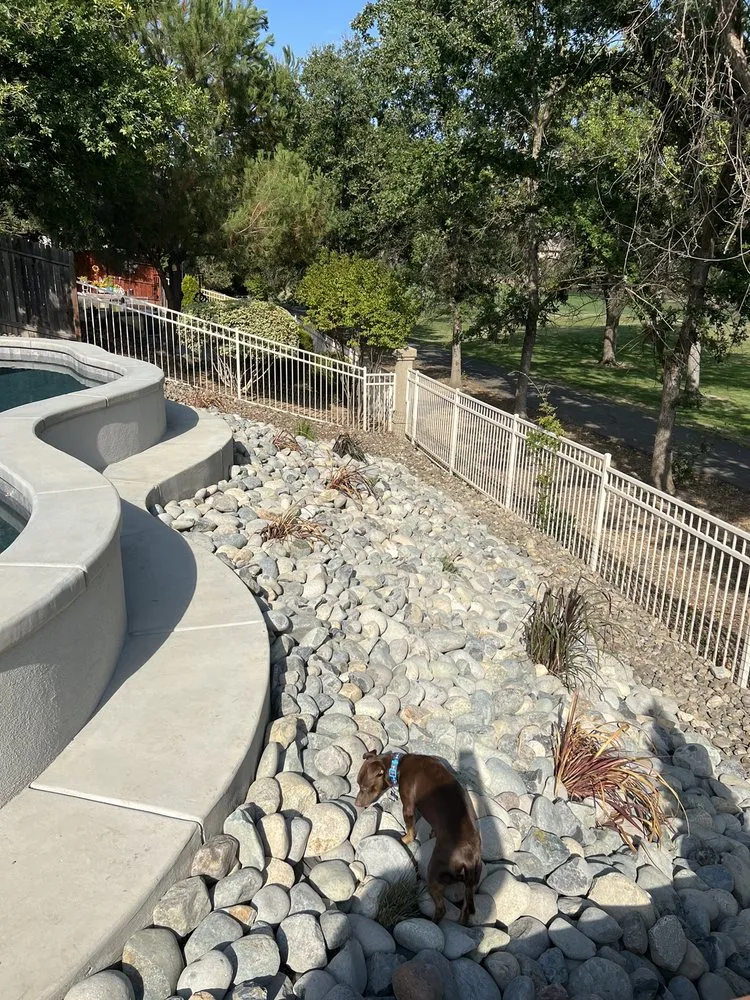 Custom yard maintenance in Sacramento, CA - Green Landscaping