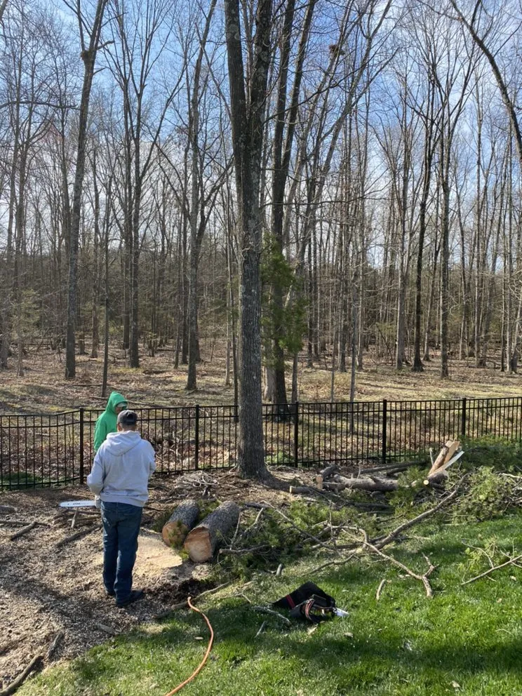 Professional landscaping services for year-round maintenance across Sterling, VA - Green Landscaping