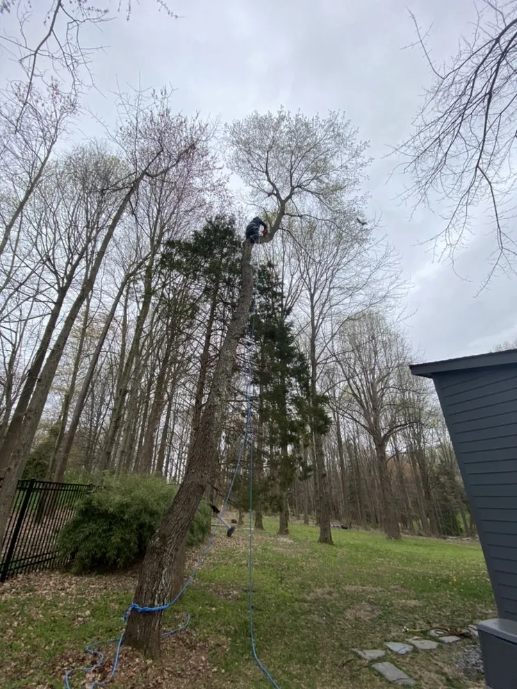 Affordable outdoor landscaping with custom design in Sterling, VA by Green Landscaping