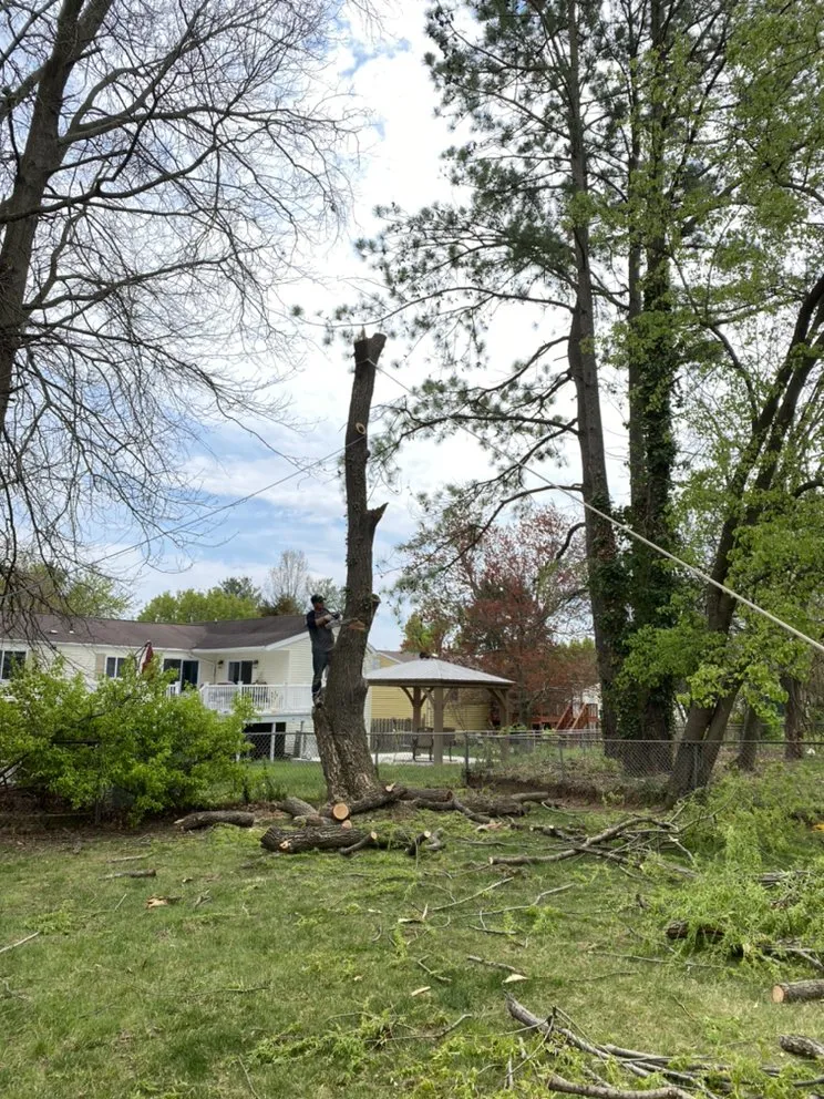 Expert outdoor landscaping in Sterling, VA by Green Landscaping