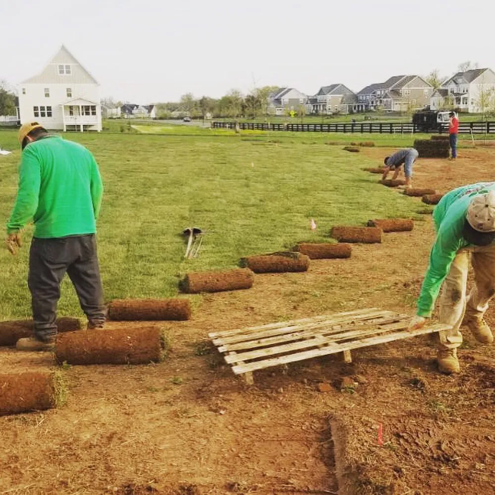 Expert landscape installation for outdoor upgrades in Sterling, VA by Green Landscaping