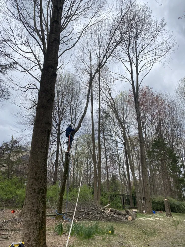 Reliable landscape installation with custom design across Sterling, VA - Green Landscaping