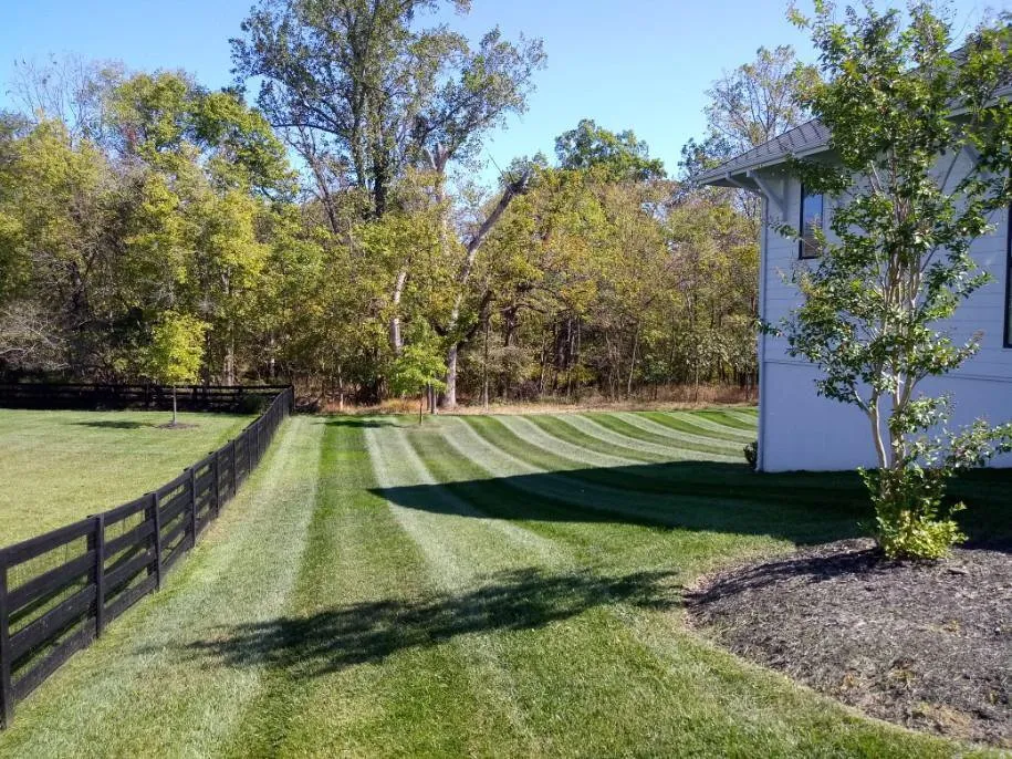 Expert garden landscaping experts serving Sterling, VA - Green Landscaping