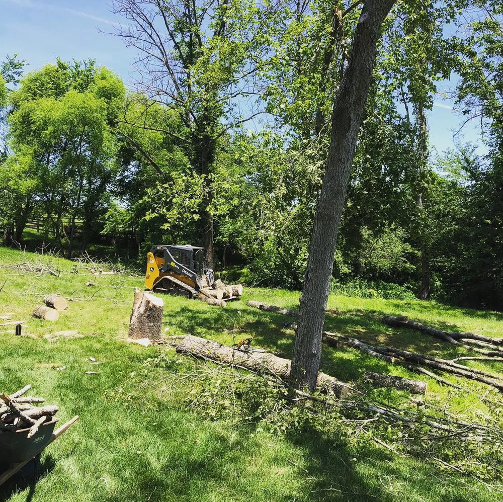 Reliable lawn mowing service experts serving Sterling, VA - Green Landscaping