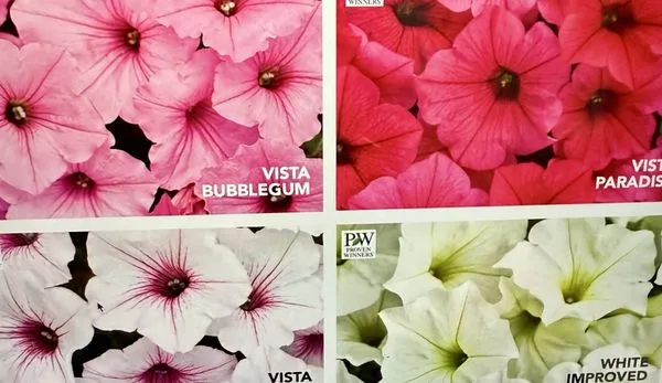 Green Landscaping Logo