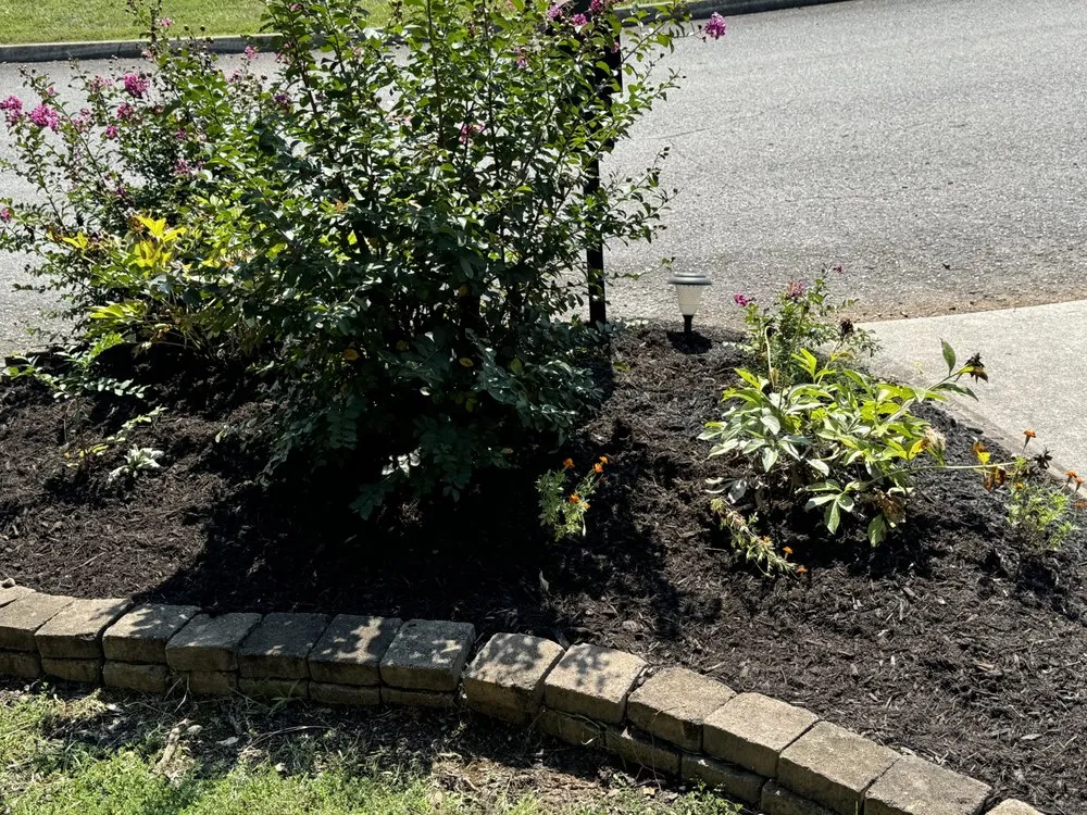 Custom landscaping services for residential properties across Knoxville, TN - Green Lane Lawn Service