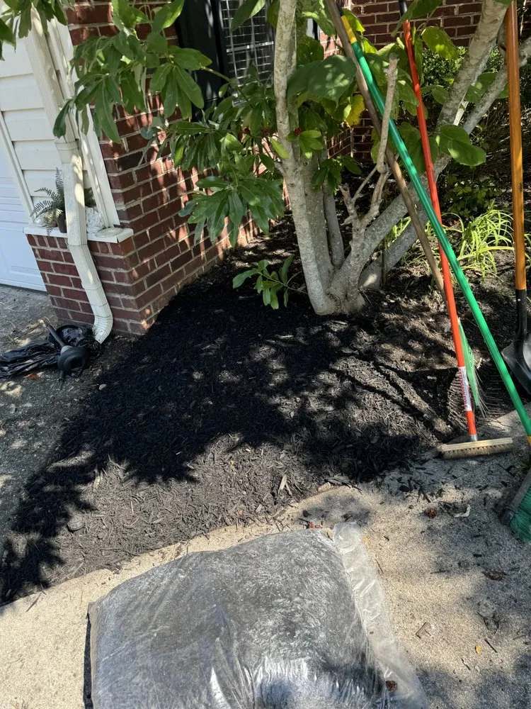 Expert landscaping services experts serving Knoxville, TN - Green Lane Lawn Service