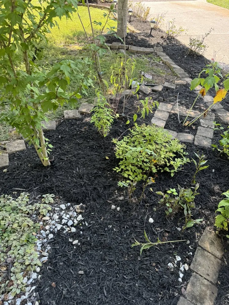 Trusted outdoor landscaping experts serving Knoxville, TN - Green Lane Lawn Service