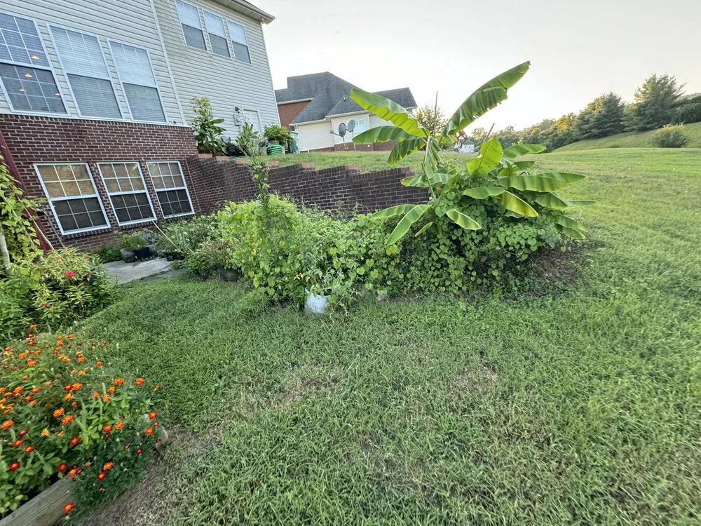 Custom lawn care service experts serving Knoxville, TN - Green Lane Lawn Service