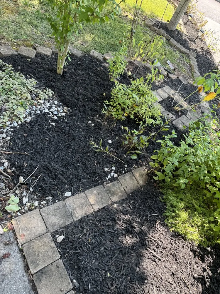 Reliable yard maintenance in Knoxville, TN by Green Lane Lawn Service