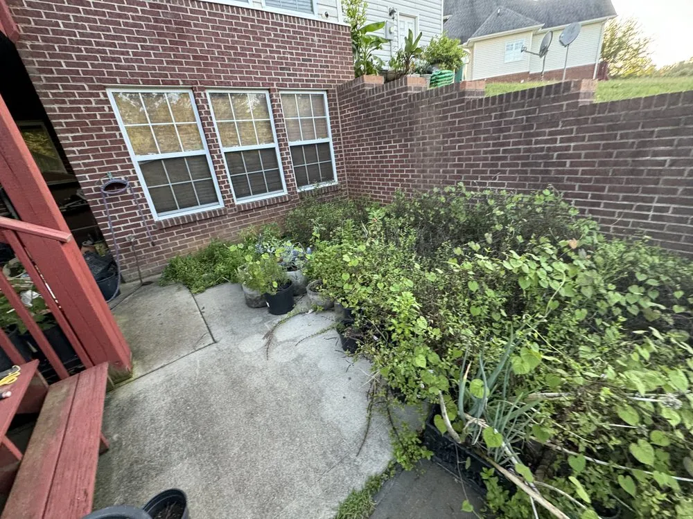 Reliable landscape design in Knoxville, TN by Green Lane Lawn Service