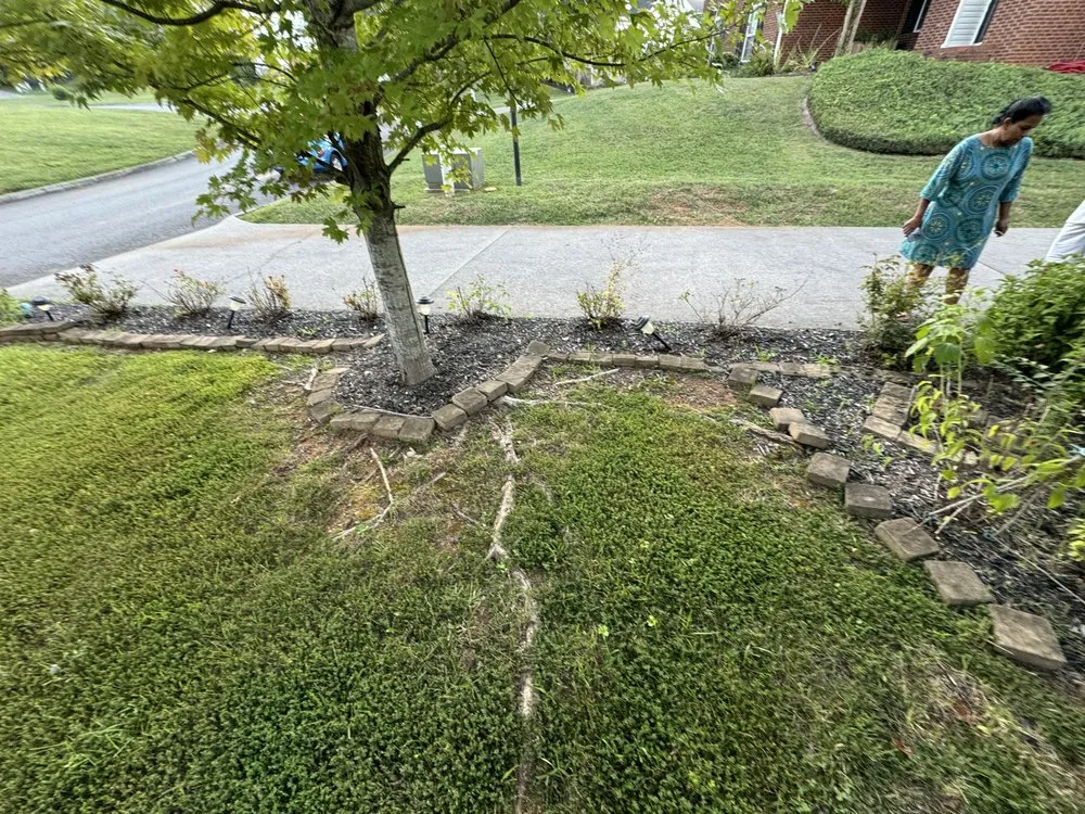 Local lawn mowing service experts serving Knoxville, TN - Green Lane Lawn Service