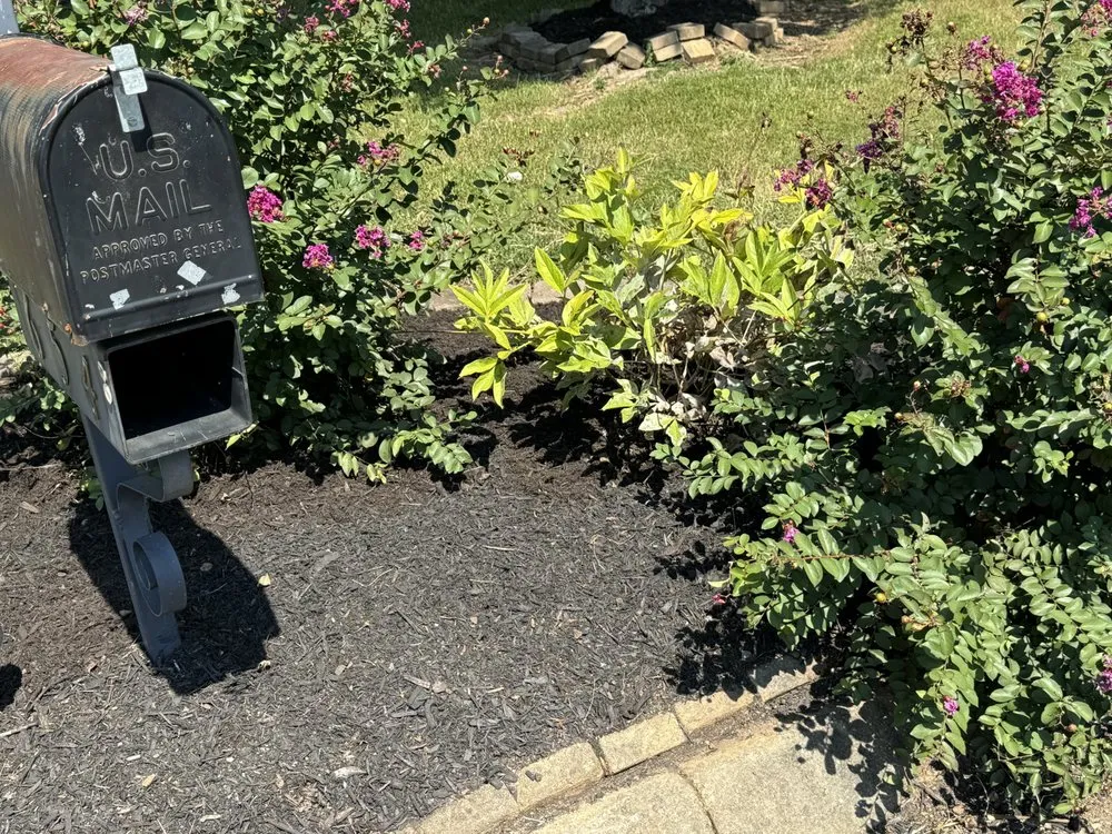 Top-rated yard maintenance in Knoxville, TN - Green Lane Lawn Service