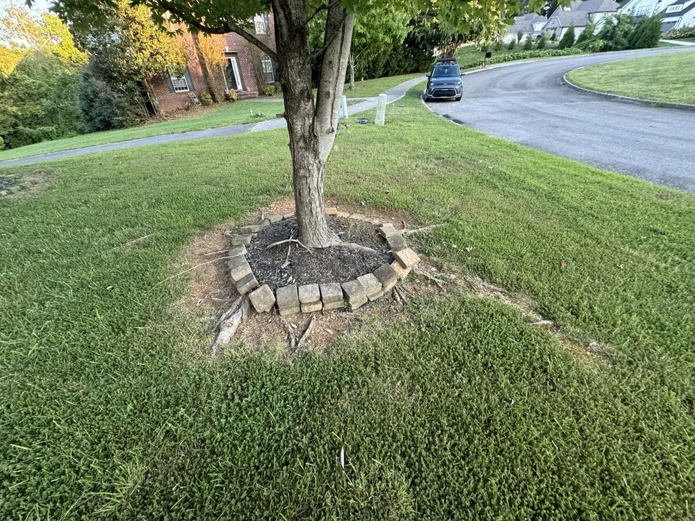 Top-rated yard cleanup service in Knoxville, TN - Green Lane Lawn Service