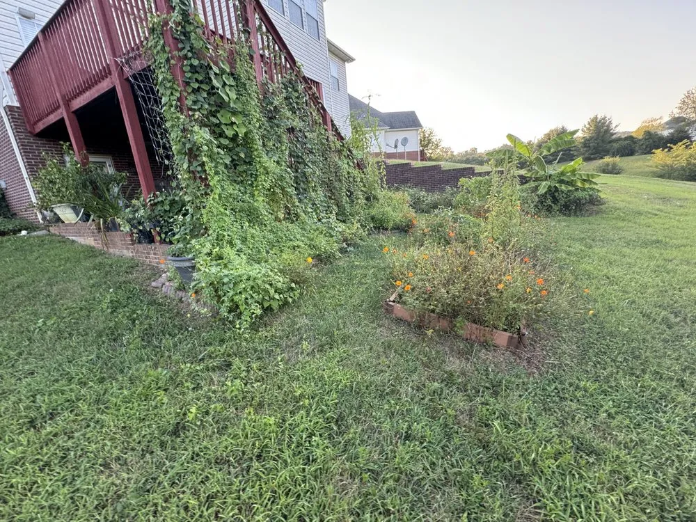 Trusted yard maintenance in Knoxville, TN - Green Lane Lawn Service