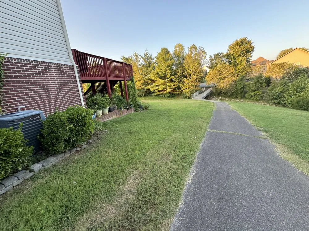 Custom yard cleanup service experts serving Knoxville, TN - Green Lane Lawn Service