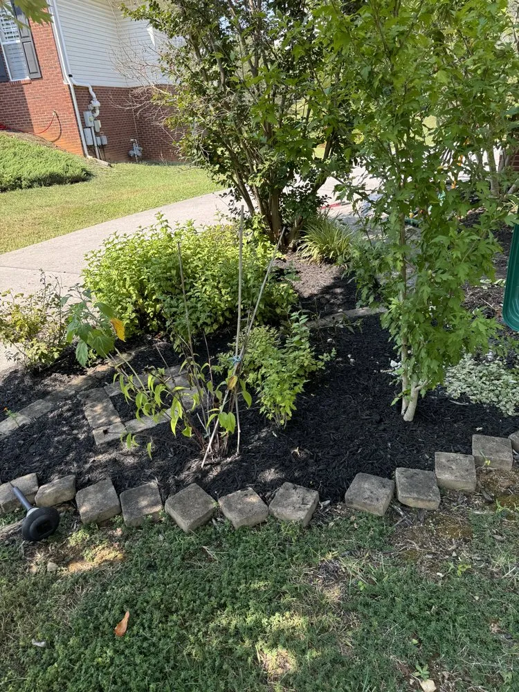 Expert lawn mowing service in Knoxville, TN by Green Lane Lawn Service