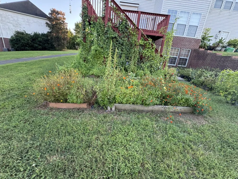 Professional lawn care service for year-round maintenance in Knoxville, TN by Green Lane Lawn Service