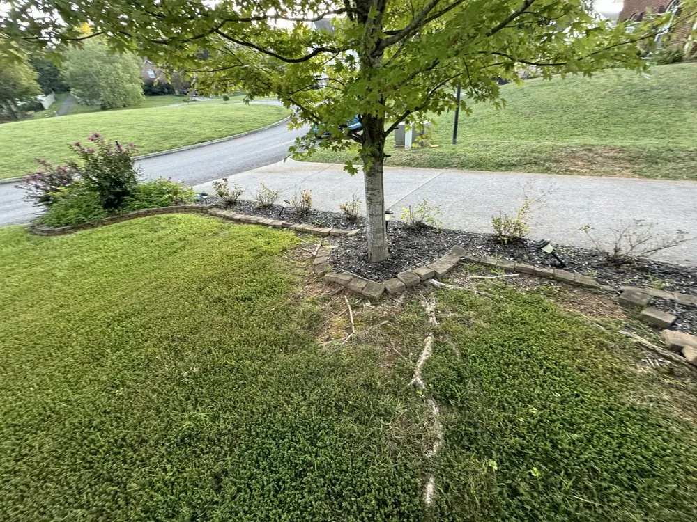 Top-rated lawn care service for residential properties in Knoxville, TN by Green Lane Lawn Service