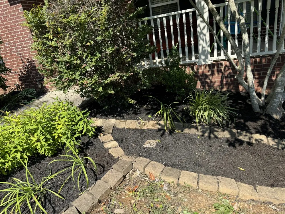 Trusted yard maintenance experts serving Knoxville, TN - Green Lane Lawn Service