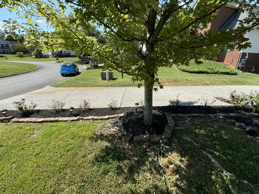 Reliable yard maintenance for year-round maintenance across Knoxville, TN - Green Lane Lawn Service
