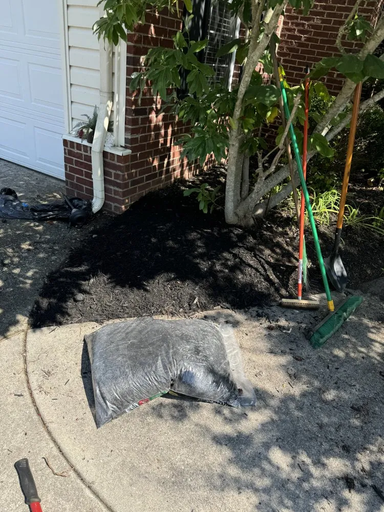 Top-rated lawn mowing service for year-round maintenance in Knoxville, TN by Green Lane Lawn Service