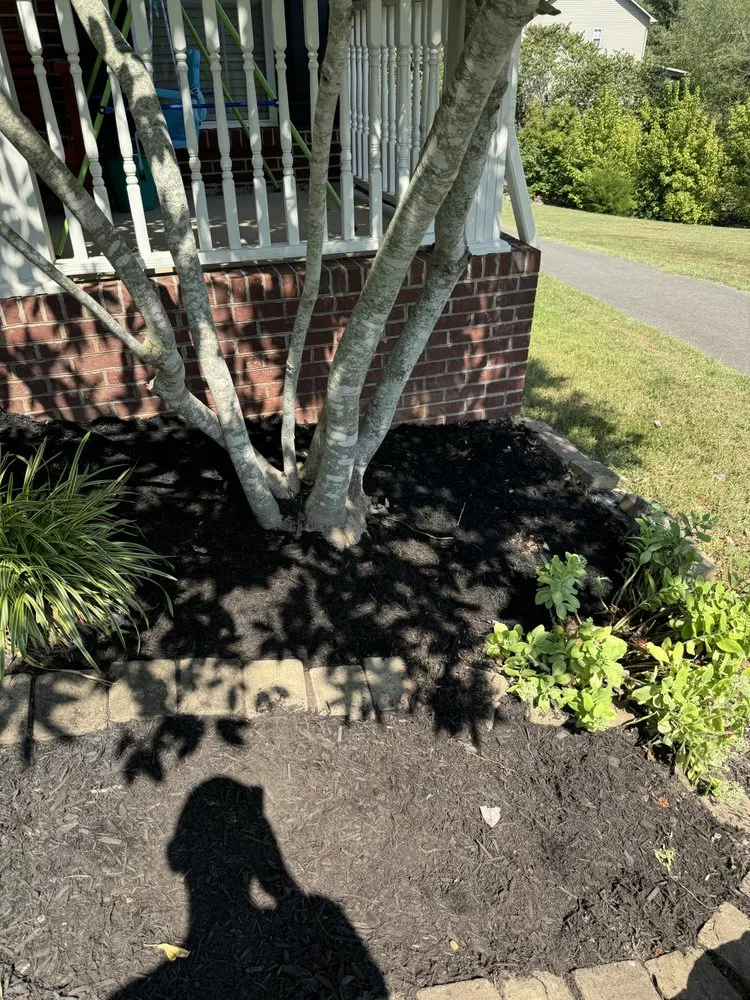 Local landscaping services near you in Knoxville, TN by Green Lane Lawn Service