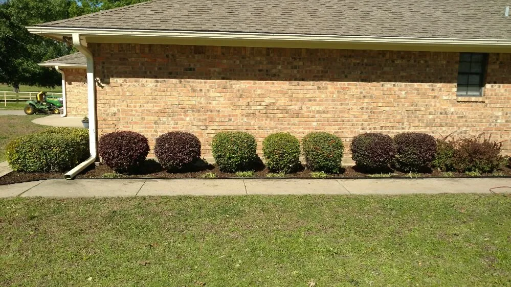 Reliable landscape installation in Paris, TX by Green Lawn and Landscape