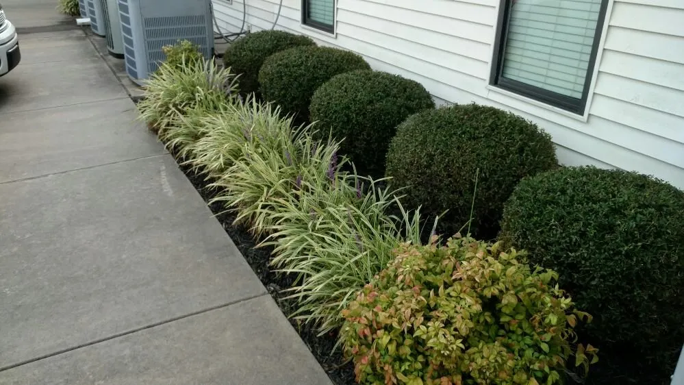 Expert lawn mowing service in Paris, TX by Green Lawn and Landscape