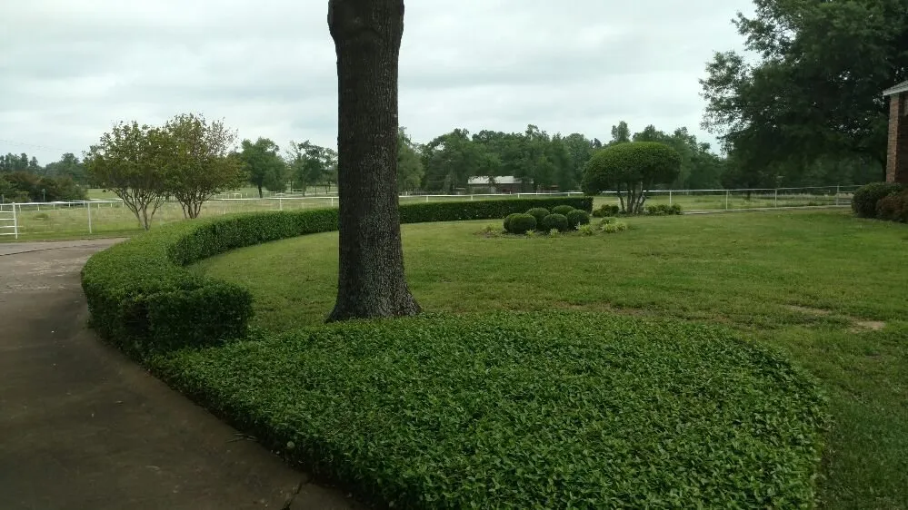 Expert lawn care service experts serving Paris, TX - Green Lawn and Landscape