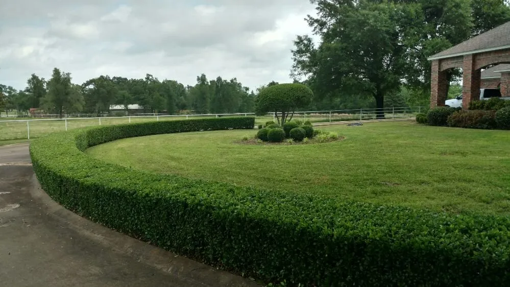 Affordable yard maintenance in Paris, TX by Green Lawn and Landscape