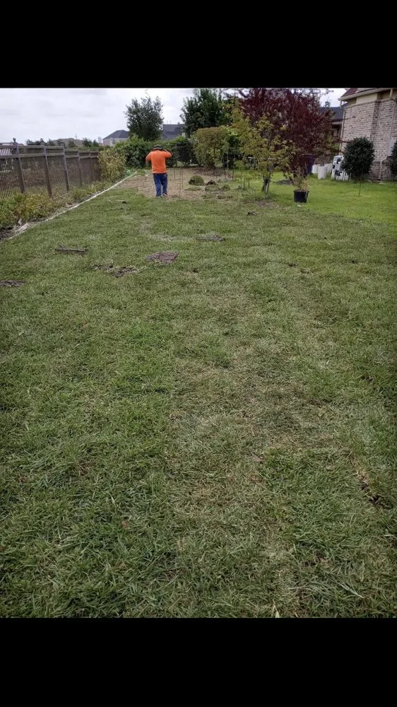 Local landscape design in Carrollton, TX by Green Lawn And Landscaping