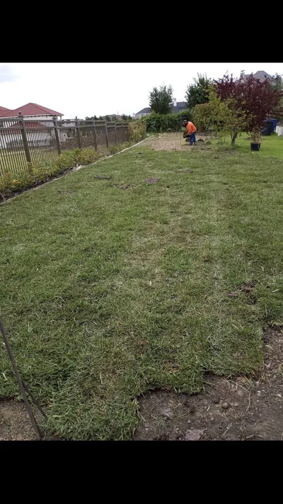 Reliable lawn mowing service for year-round maintenance across Carrollton, TX - Green Lawn And Landscaping