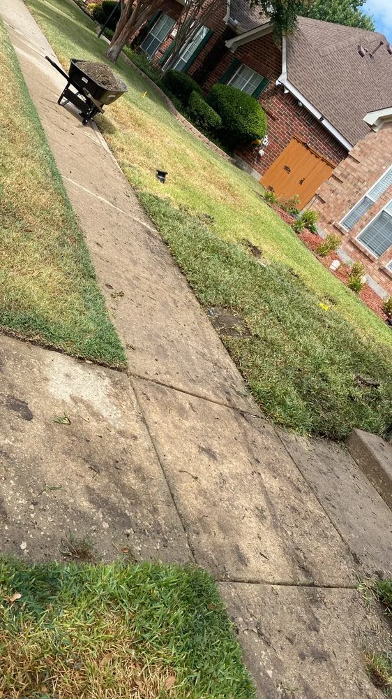 Professional residential landscaping in Carrollton, TX - Green Lawn And Landscaping