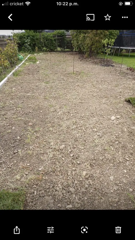 Professional lawn care service experts serving Carrollton, TX - Green Lawn And Landscaping