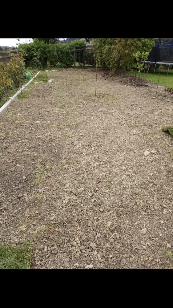 Professional lawn mowing service with custom design across Carrollton, TX - Green Lawn And Landscaping