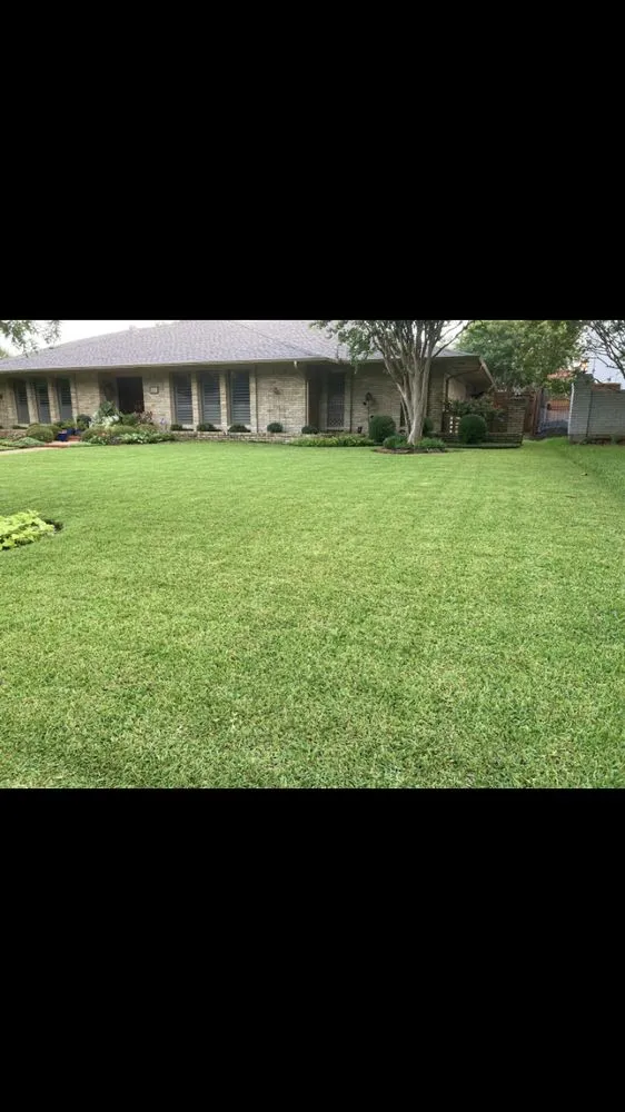 Custom garden landscaping for beautiful yards across Carrollton, TX - Green Lawn And Landscaping