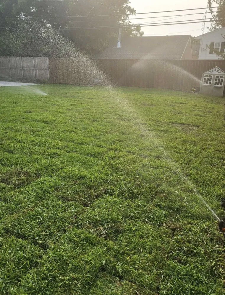 Affordable landscaping services experts serving Carrollton, TX - Green Lawn And Landscaping