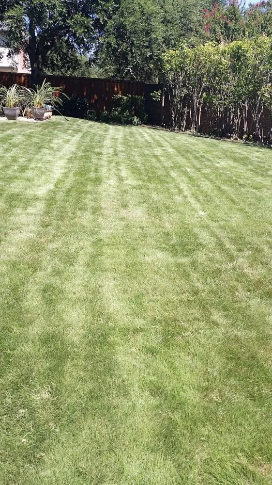 Affordable outdoor landscaping in Carrollton, TX - Green Lawn And Landscaping