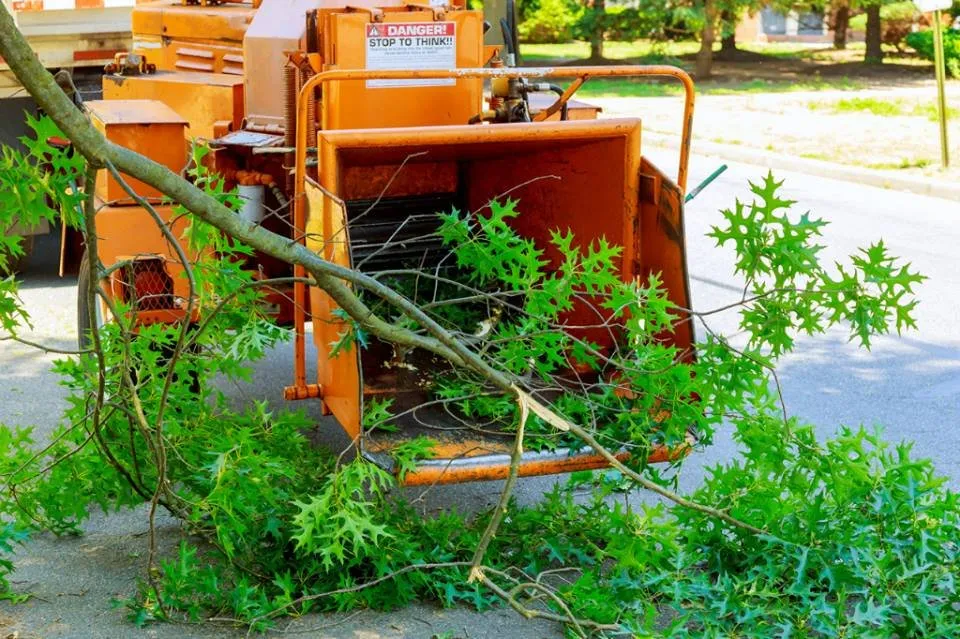 Affordable garden landscaping in Capitol Heights, MD by Green Lawn and Tree Services