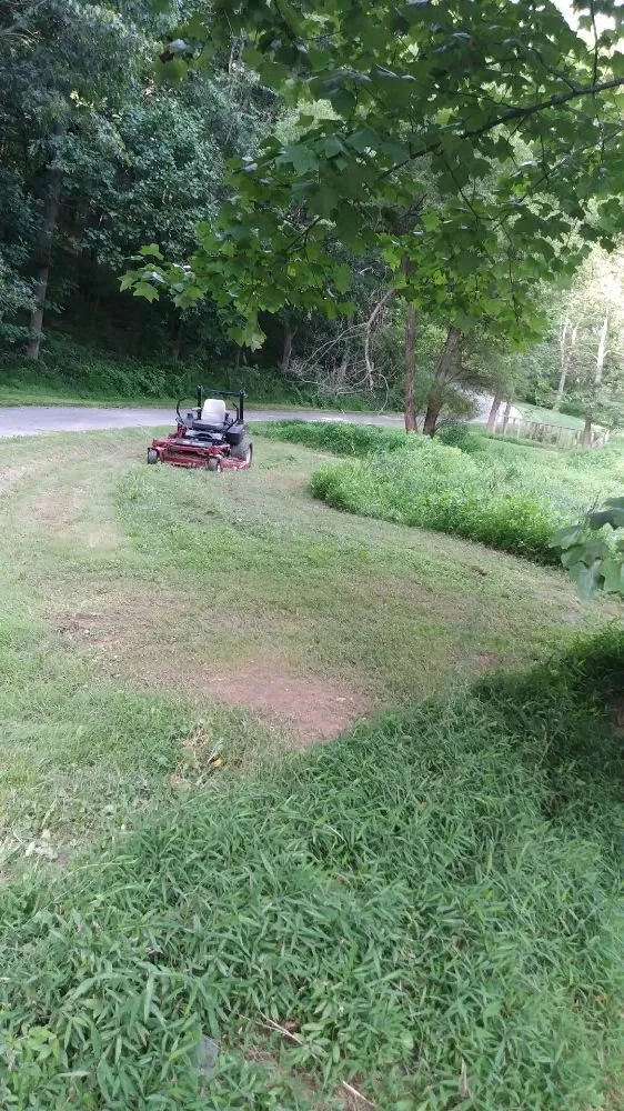 Local landscape design experts serving Capitol Heights, MD - Green Lawn and Tree Services