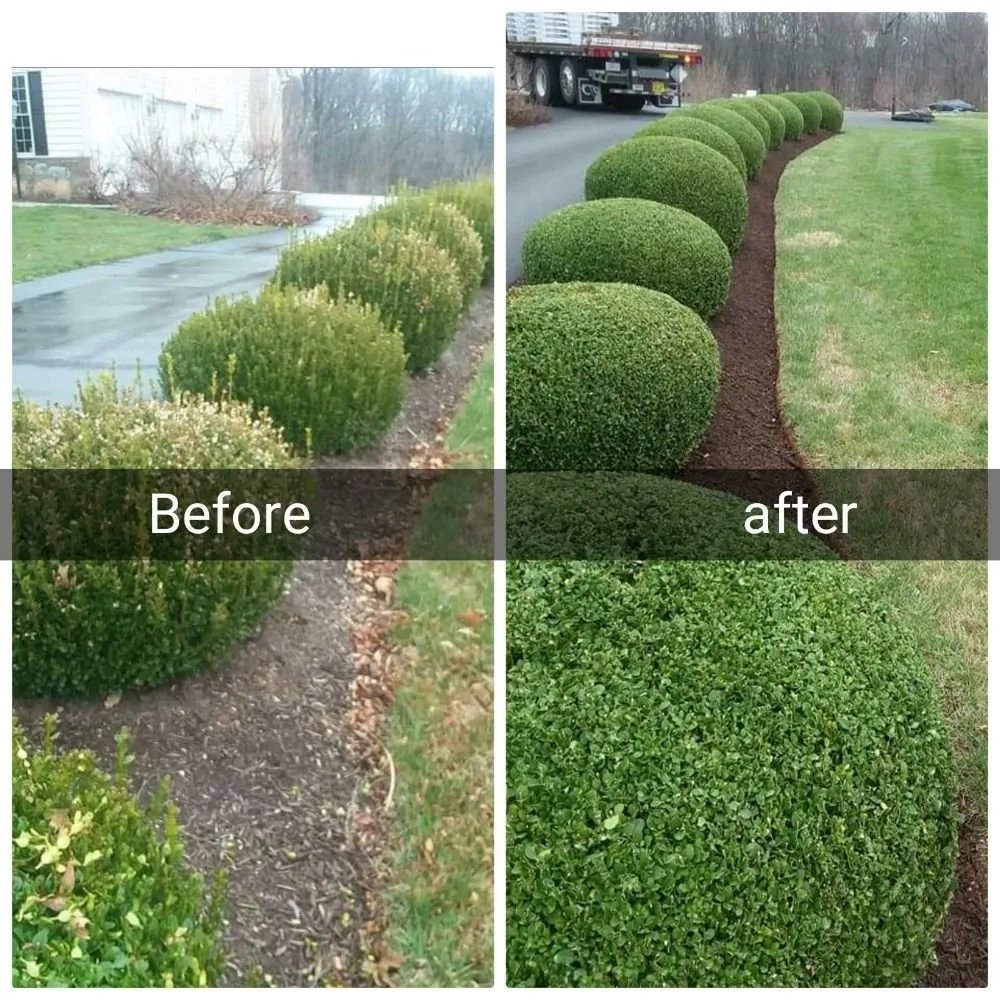 Top-rated landscape design experts serving Capitol Heights, MD - Green Lawn and Tree Services