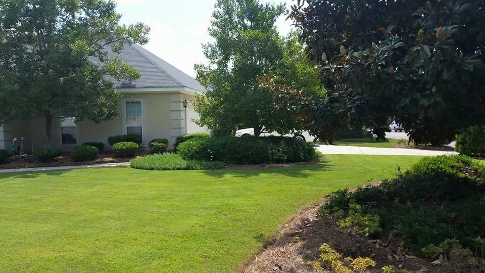 Trusted outdoor landscaping in Evans, GA - Green Lawn Augusta