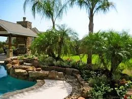 Affordable yard maintenance for year-round maintenance across Burleson, TX - Green Lawn Care