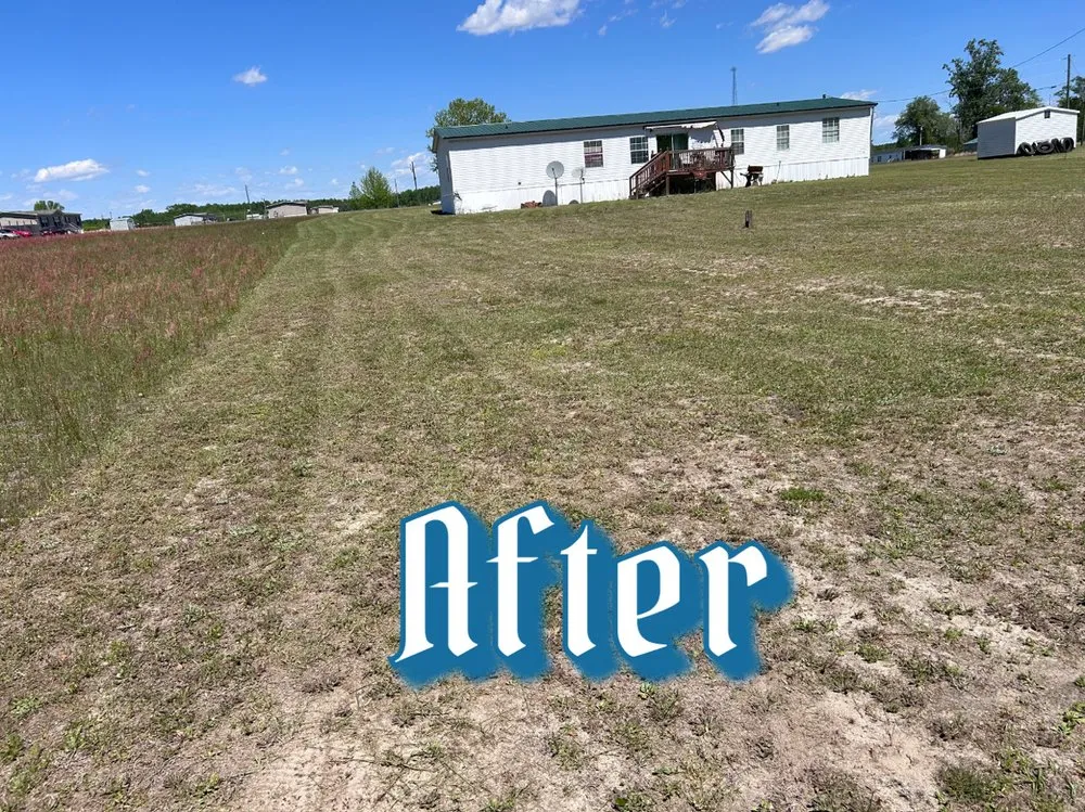 Reliable yard maintenance experts serving Clio, SC - Green Lawn Care