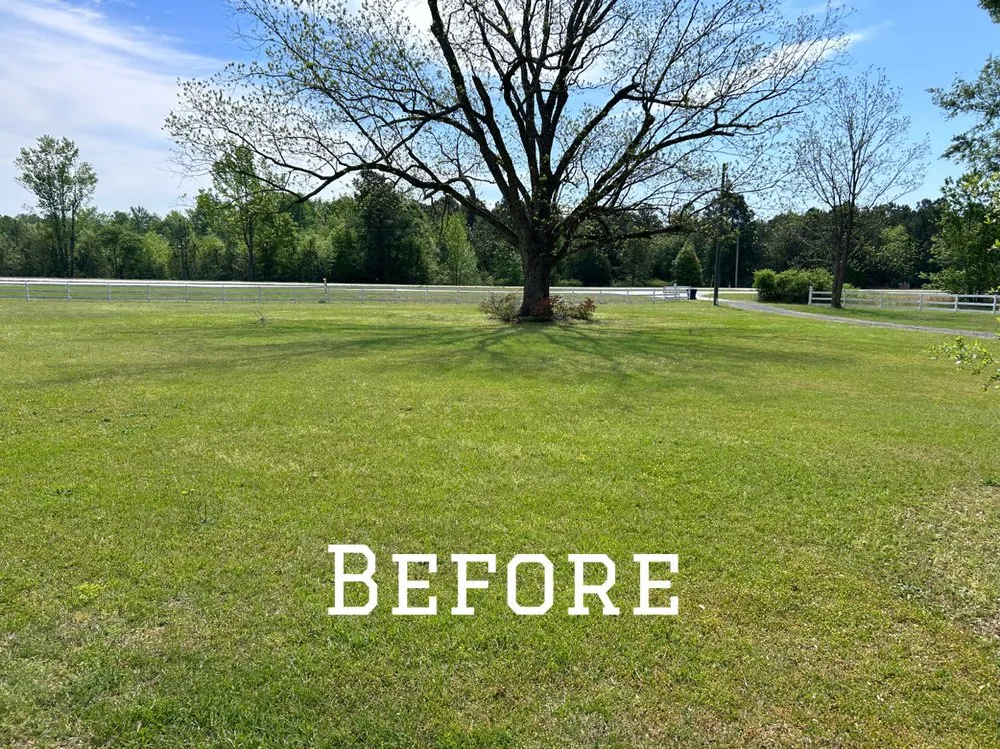 Professional residential landscaping in Clio, SC by Green Lawn Care