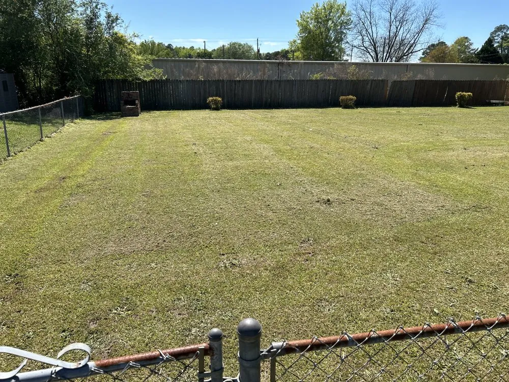Top-rated outdoor landscaping in Clio, SC - Green Lawn Care