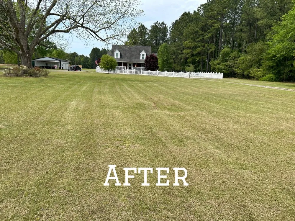 Custom lawn care service for homes in Clio, SC by Green Lawn Care