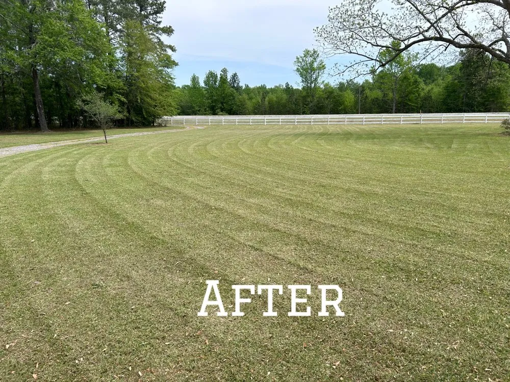 Top-rated yard cleanup service in Clio, SC by Green Lawn Care
